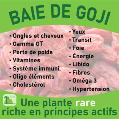 Baie de goli, le laboratoire Biologiquement des plantes rares riches en principes actifs.