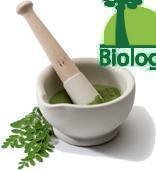 La poudre de feuille de Moringa bio